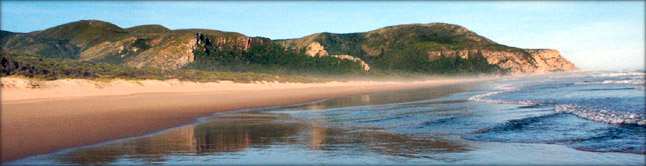 Wander along the endless beaches of the Garden Route